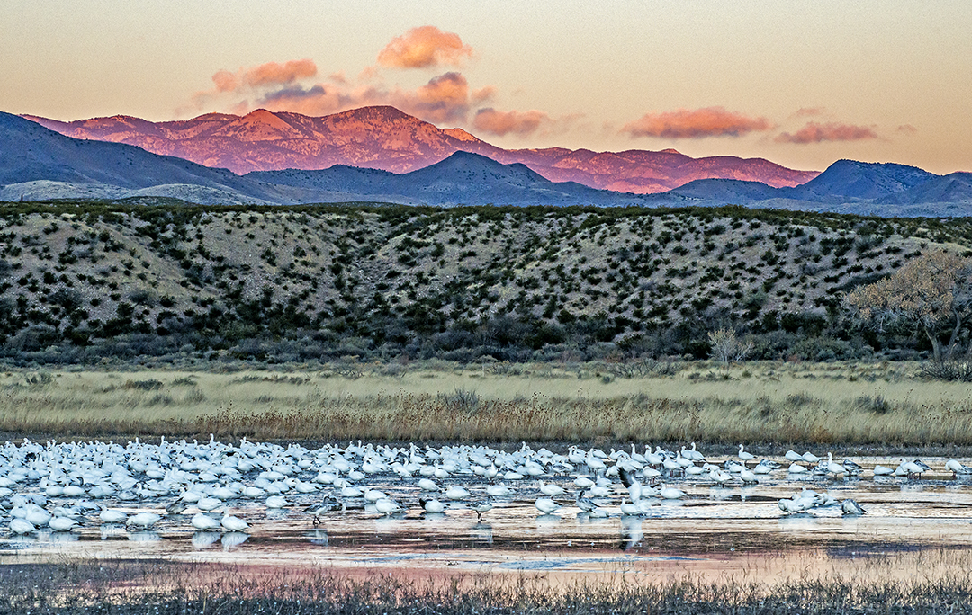 Ed Cranepool Pond.jpg