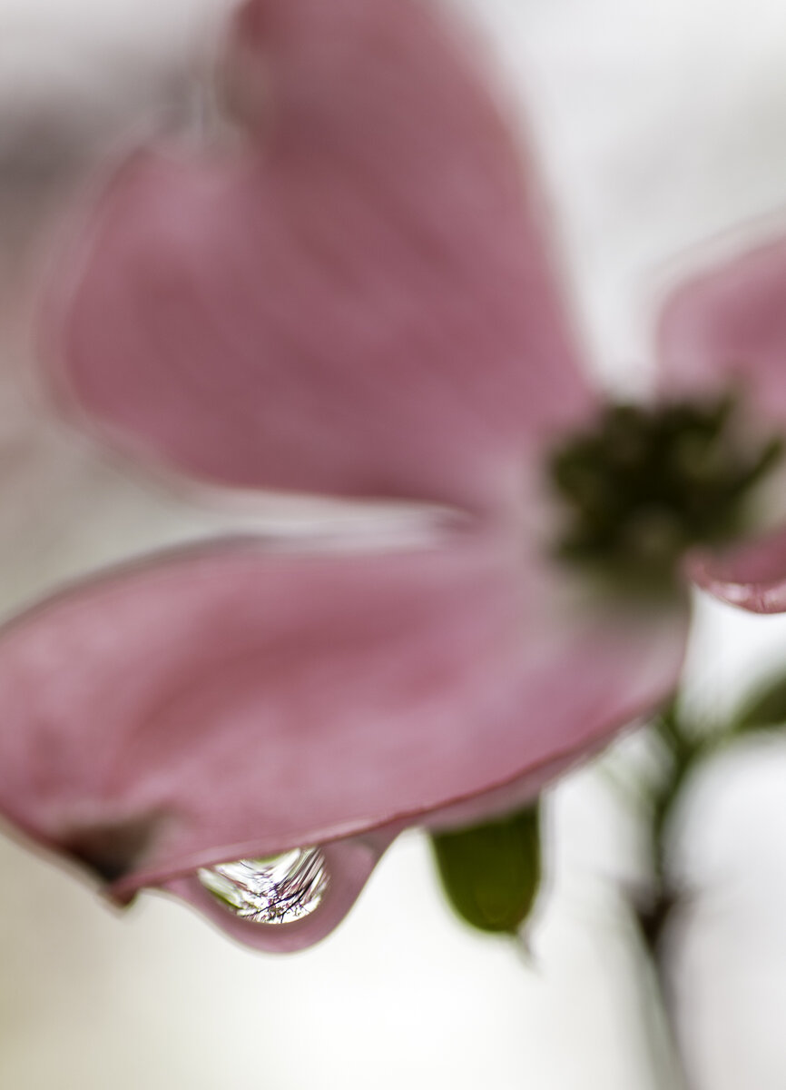 EE774BD3-67AA-45D4-BEAF-C16A528A3097.jpeg