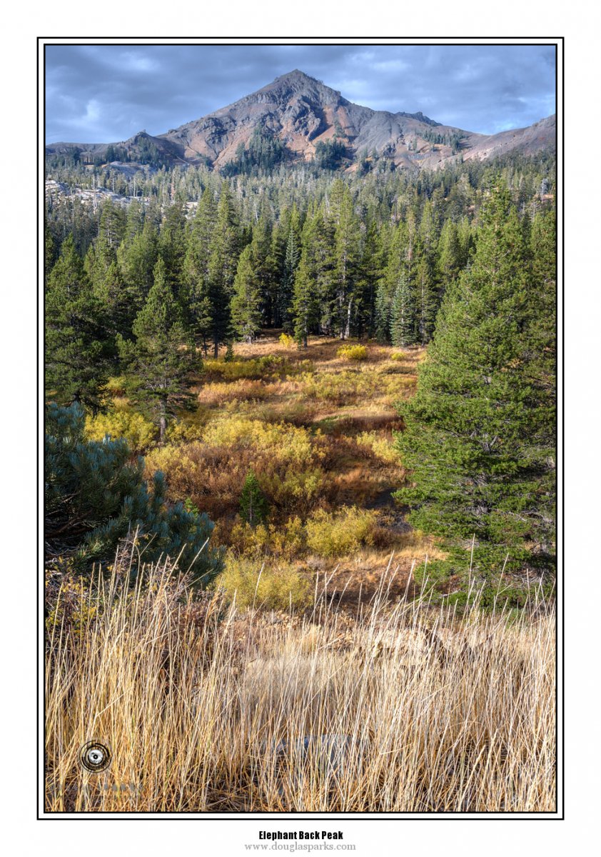 Elephant Back Peak.jpg
