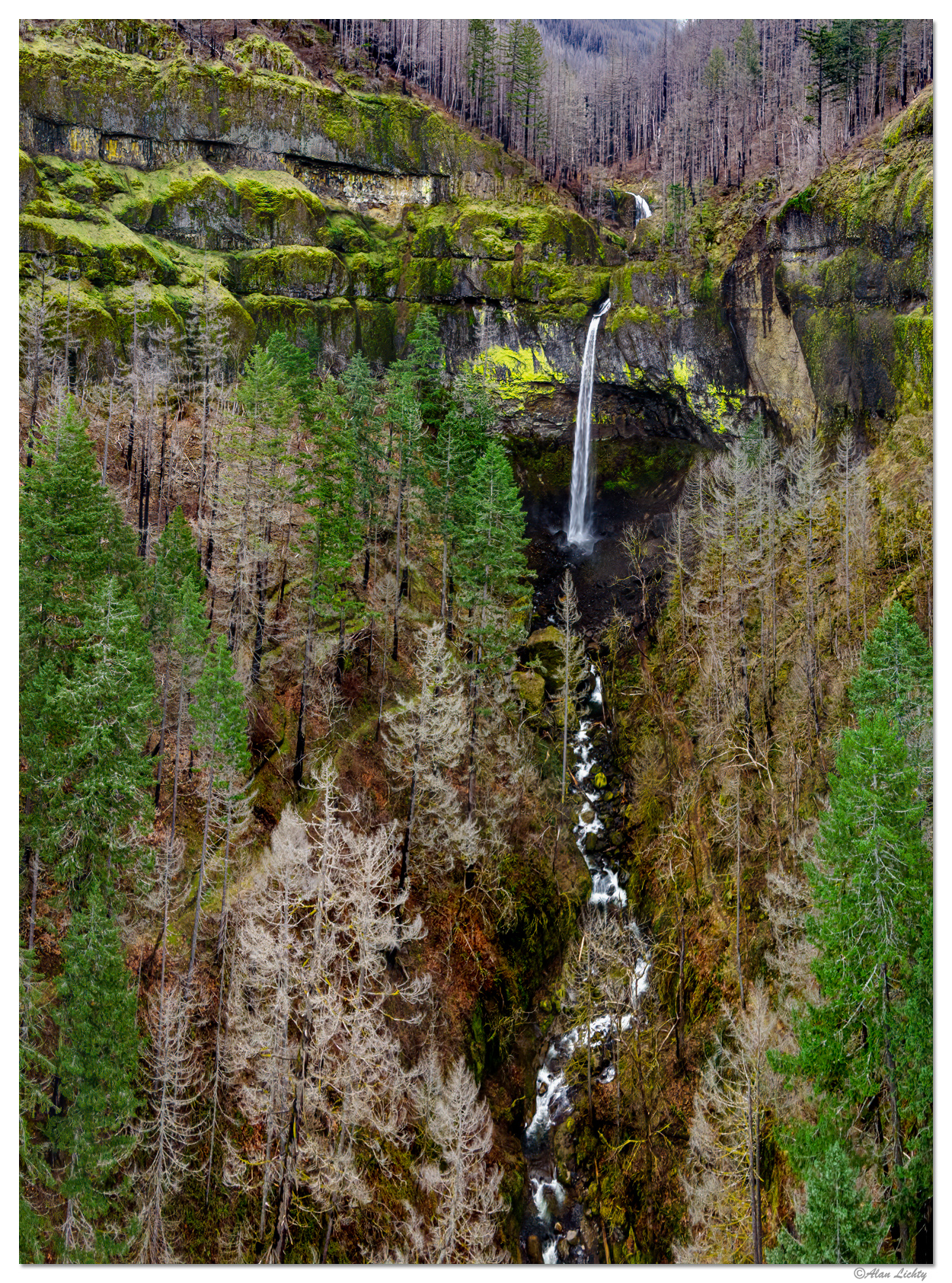 ElowahVerticalPano.jpg