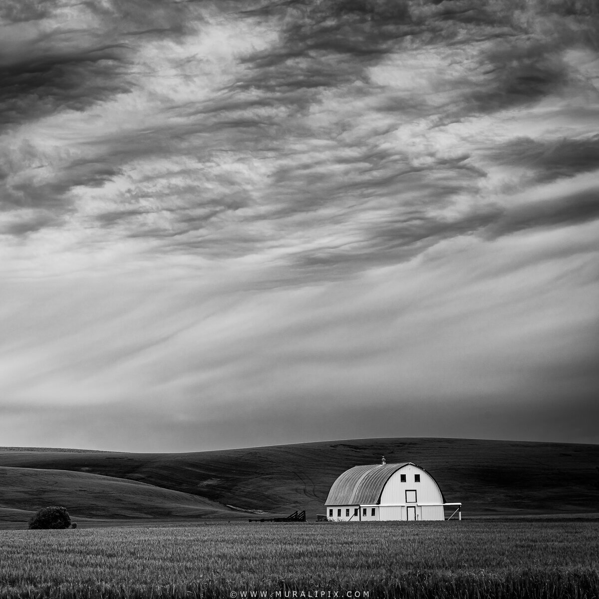 Endicott Barn in B&W.jpg