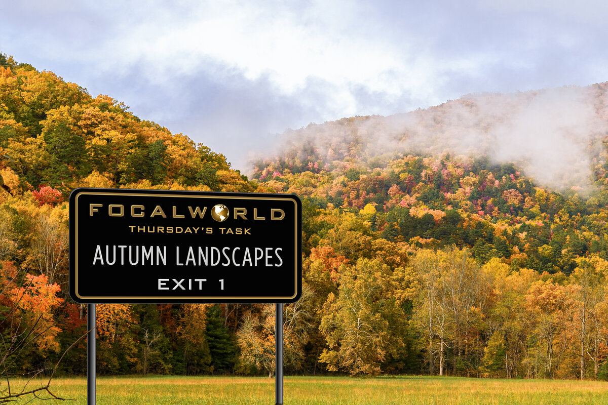 Exit 1 Thursday's Task-2.jpg