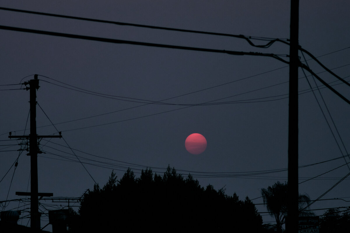 The Sun among the wires | Focal World