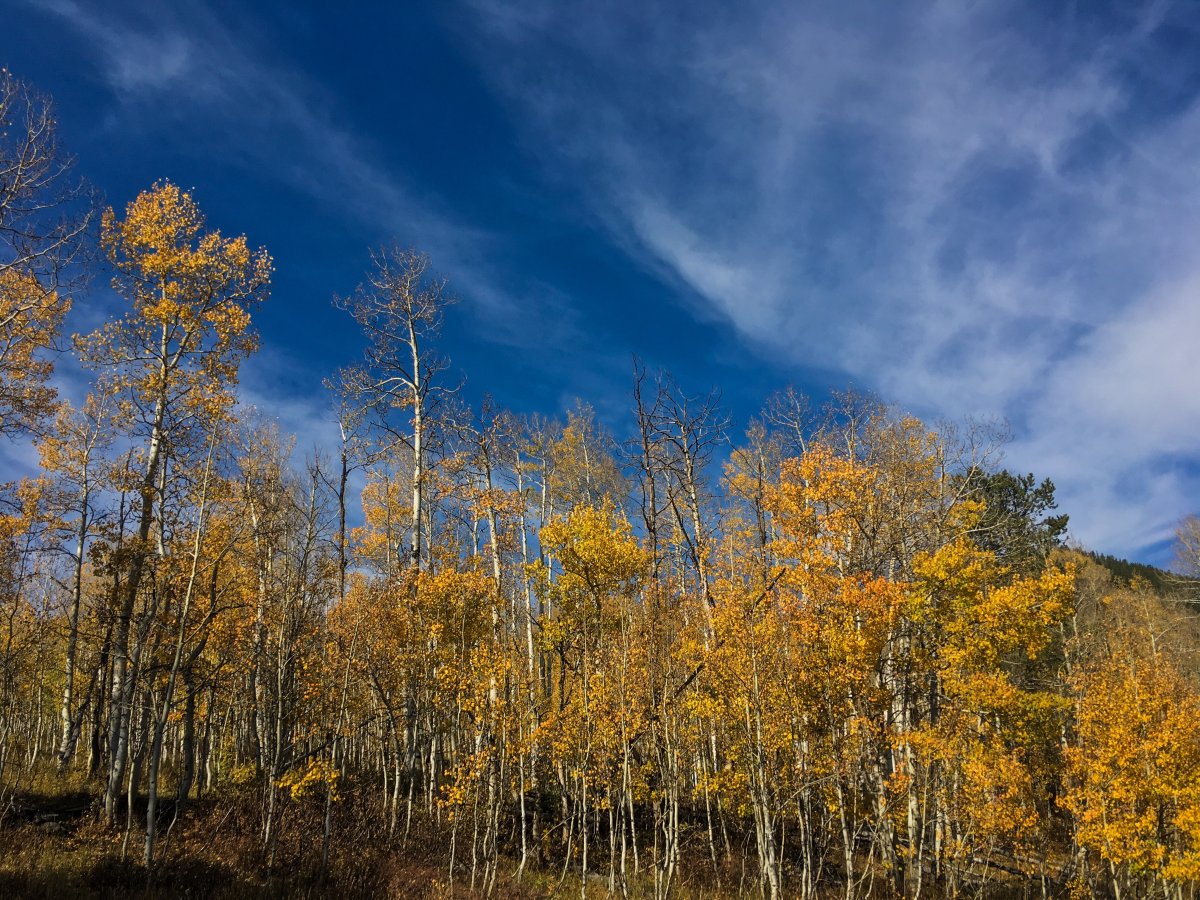 F6B8A953-B23E-44B0-8684-B8F37B606FCD.jpeg