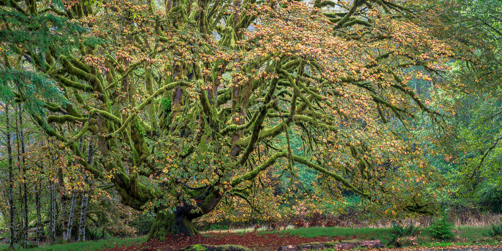Fairholm BLM spread-3.jpg