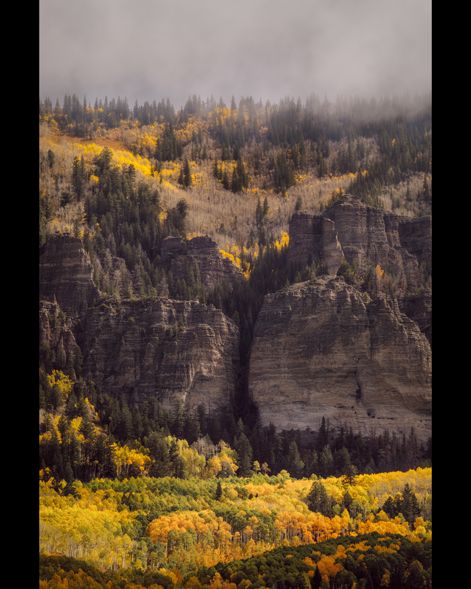 Fall-2021-Cimarron---1.jpg