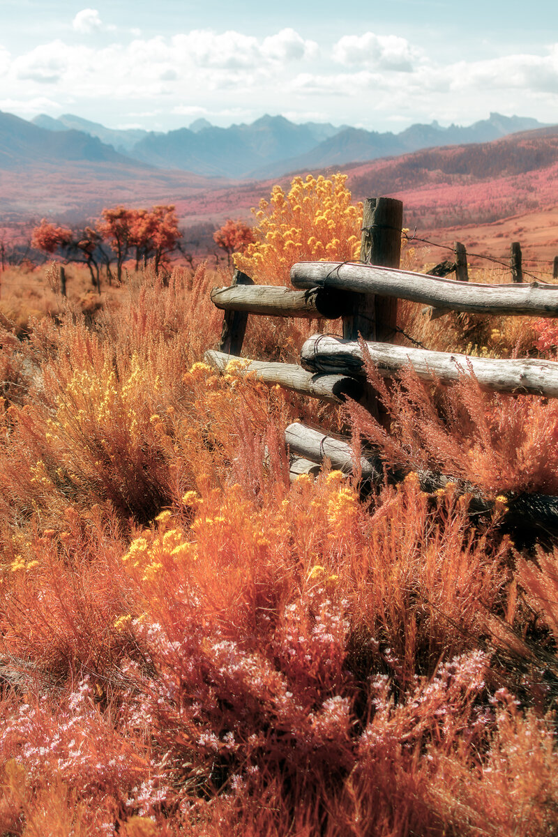 Fall-2021--IRC-1.jpg