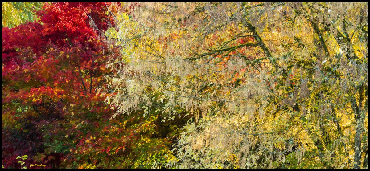 Fall-Leaves-Corner-(1)-Pano-P.jpg
