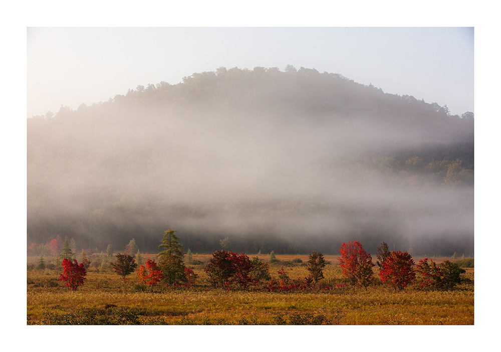 Fall Route 10 Fall 17-26 Sacandaga Flatts Misty Top Hot Display.jpg