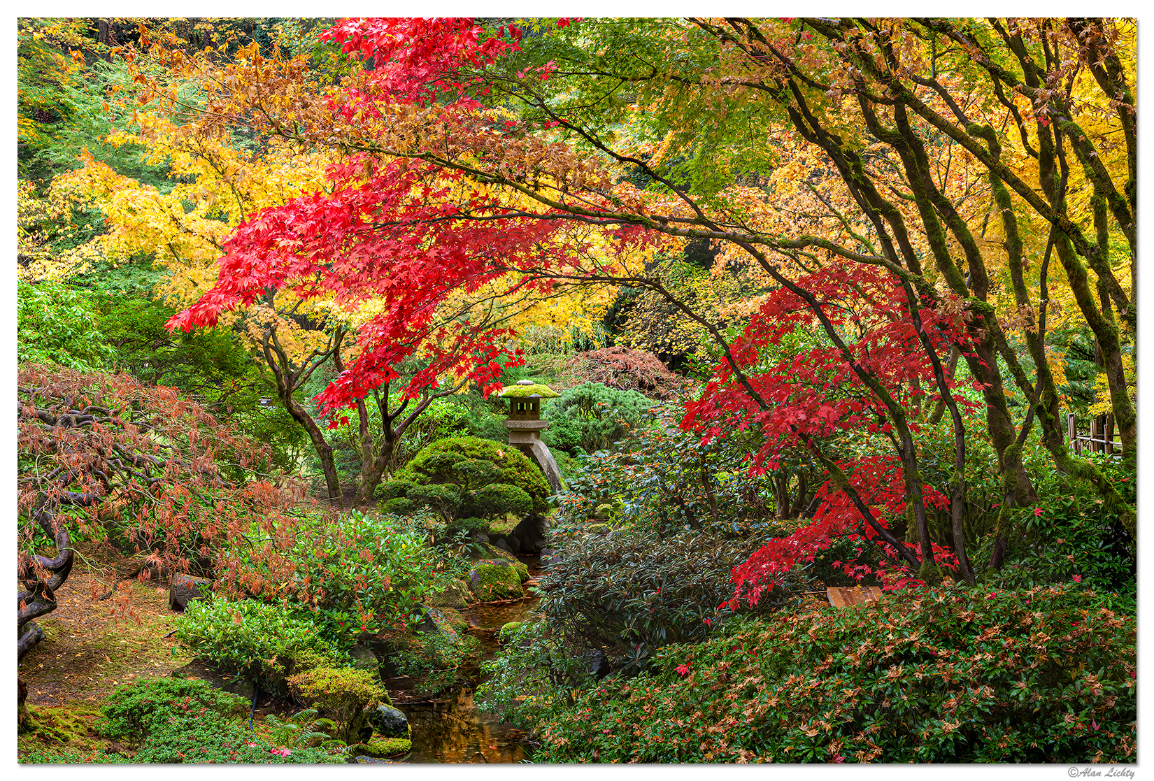 Fall10-From The Bridge.jpg