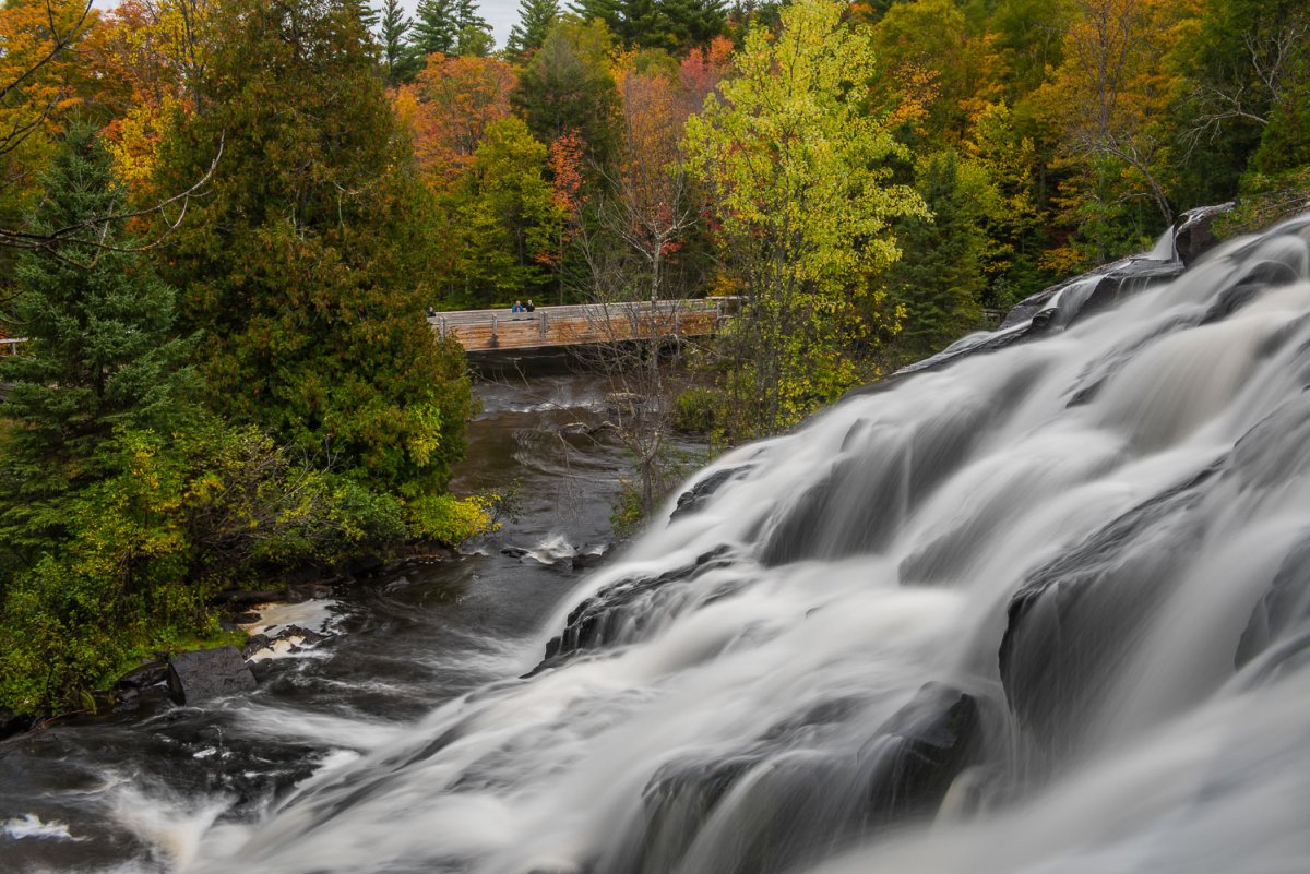 FallColor-3.jpg