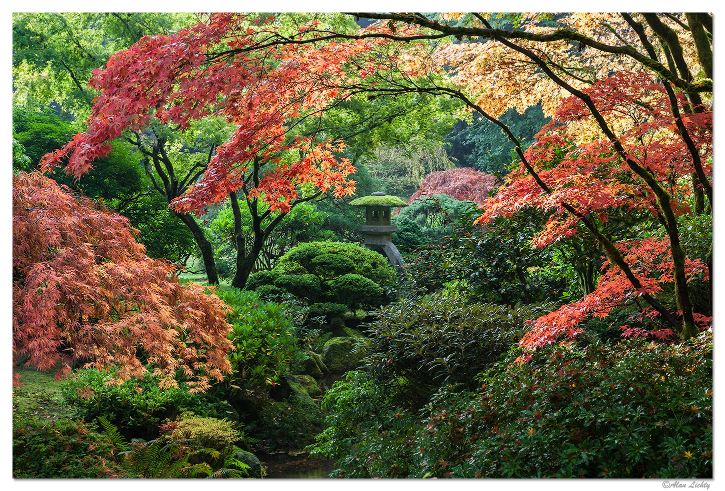 FallPagoda3.jpg