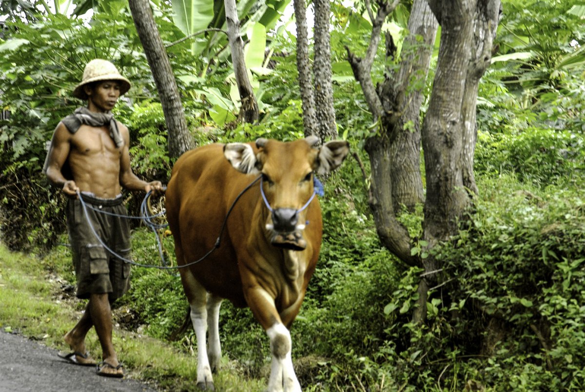 Farmer 01.jpg