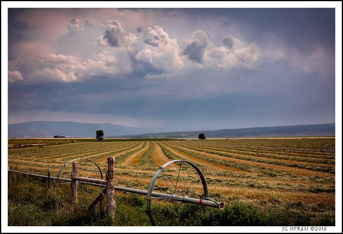 farmland1.jpg