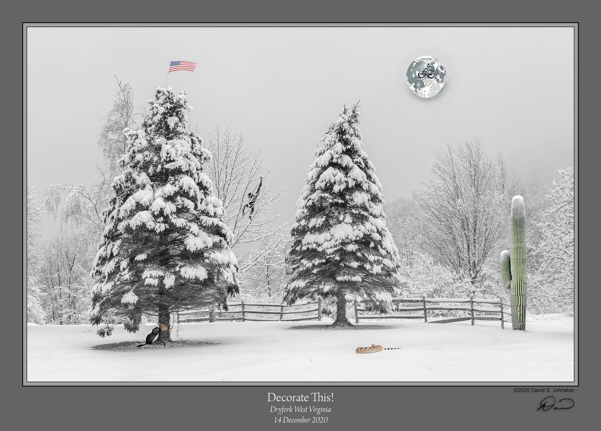 Fenceline Snow BW Cr2.jpg