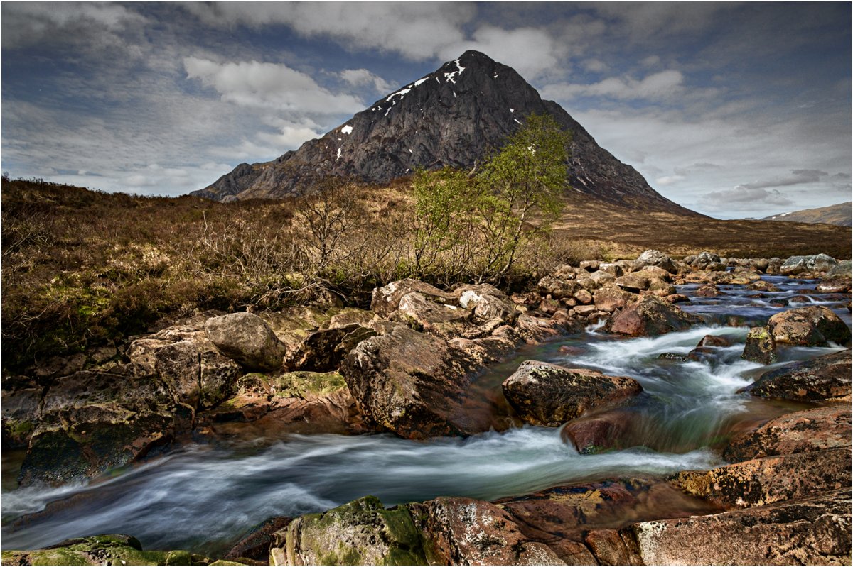 First Sign of Spring 43-2.jpg