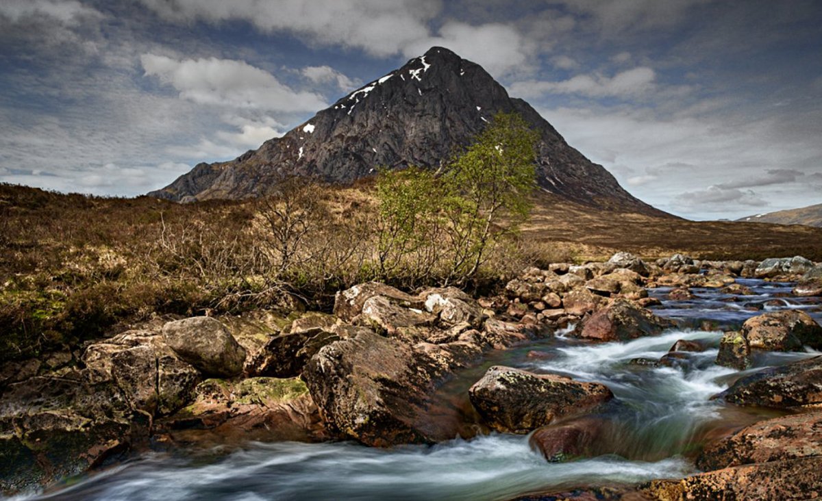 First Sign of Spring 43-2.jpg