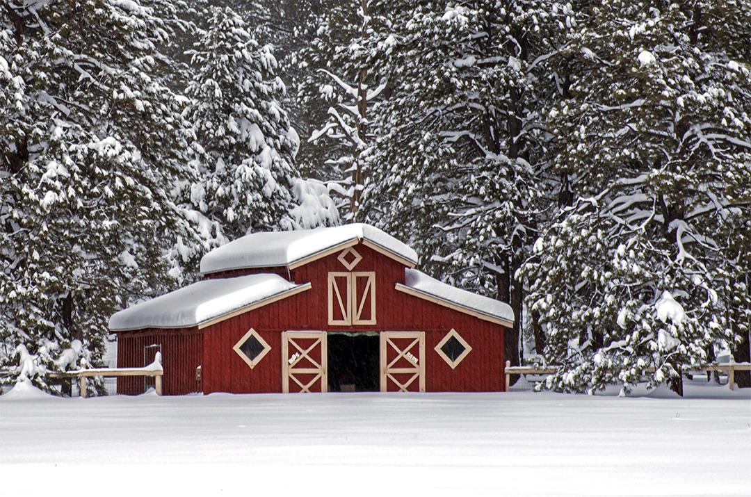 flagstaff barn under two feet of snow.jpg