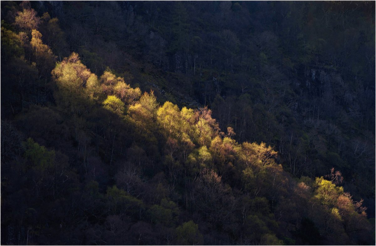 Flash of Light.jpg