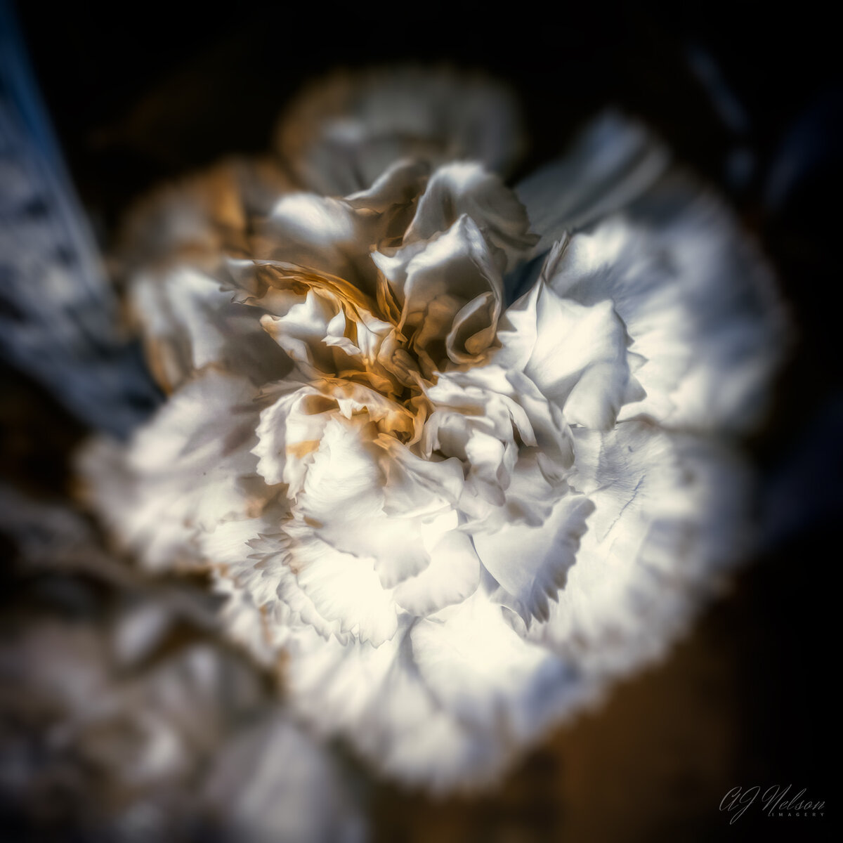 Flowers-From-Leif-3IR.jpg