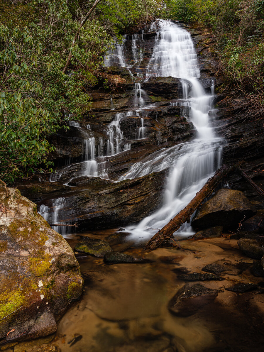 focalworld-8707.jpg