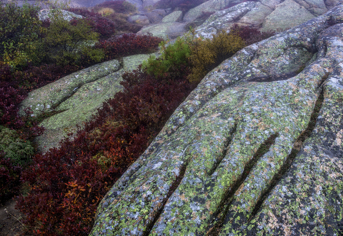 Foggy Cadillic Mountain VI.jpg