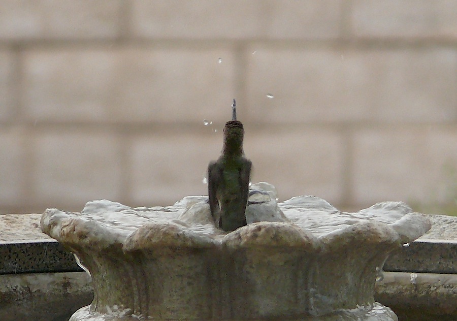 fountain.jpg