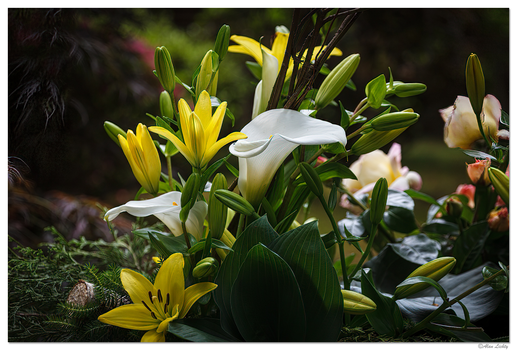 FP-PJGCutFlowers.jpg