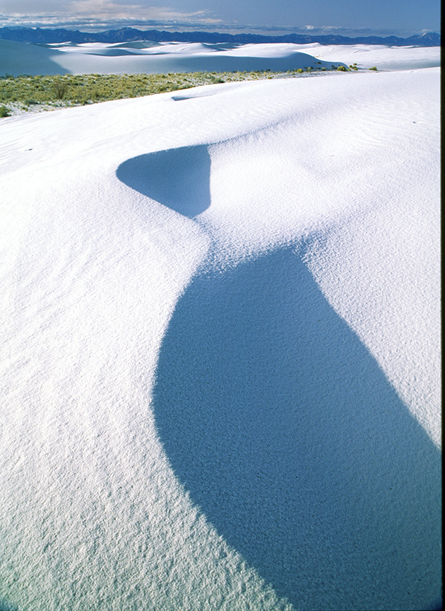 frosted dune.jpg