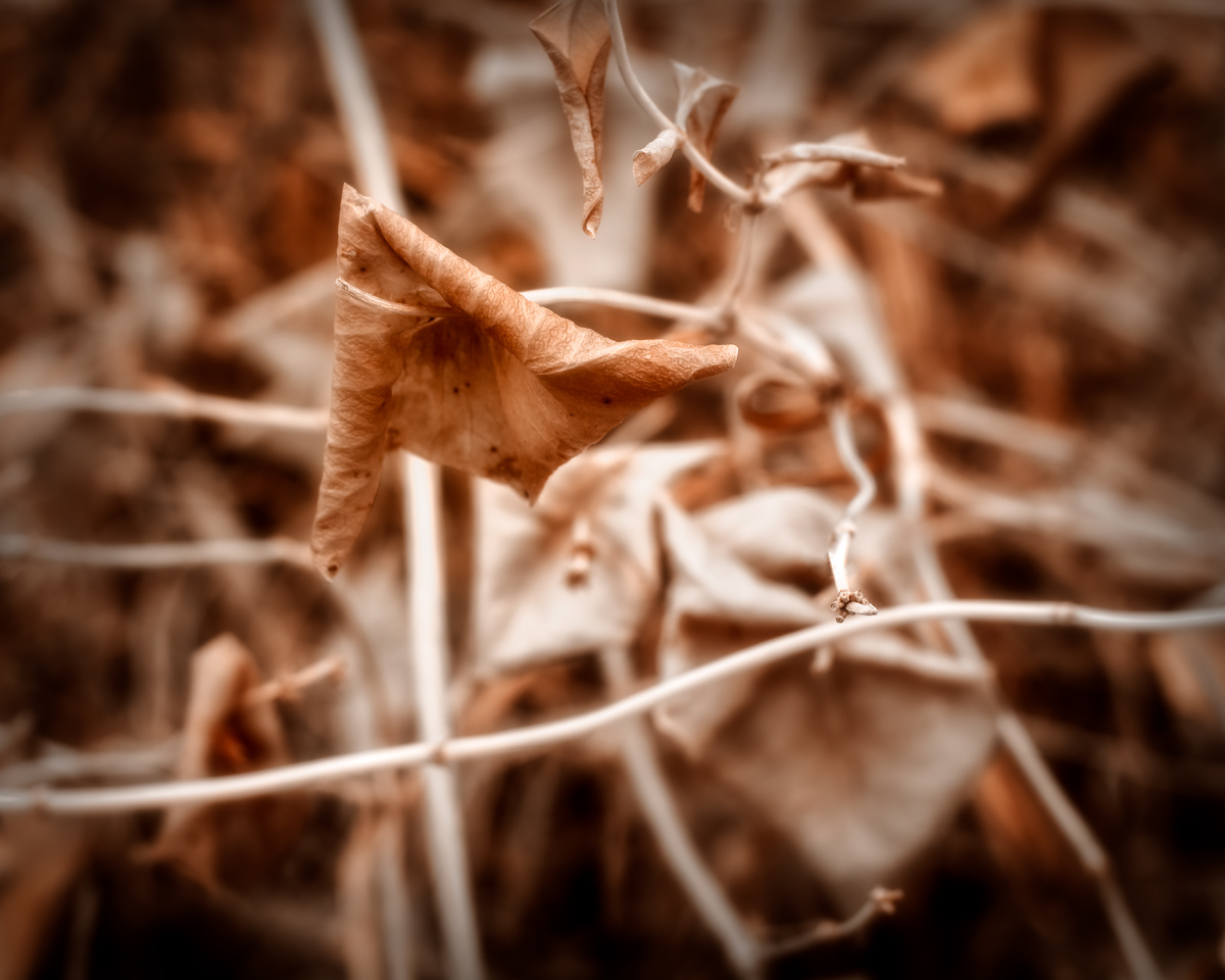 FS---Test--1.jpg