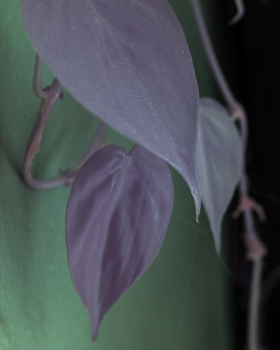 FS---Test--4.jpg