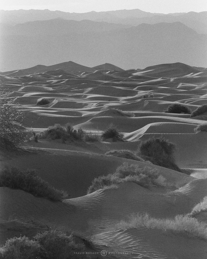 Fuji-Neopan-400-DeathValley-2020-Frame32-POTN.jpg