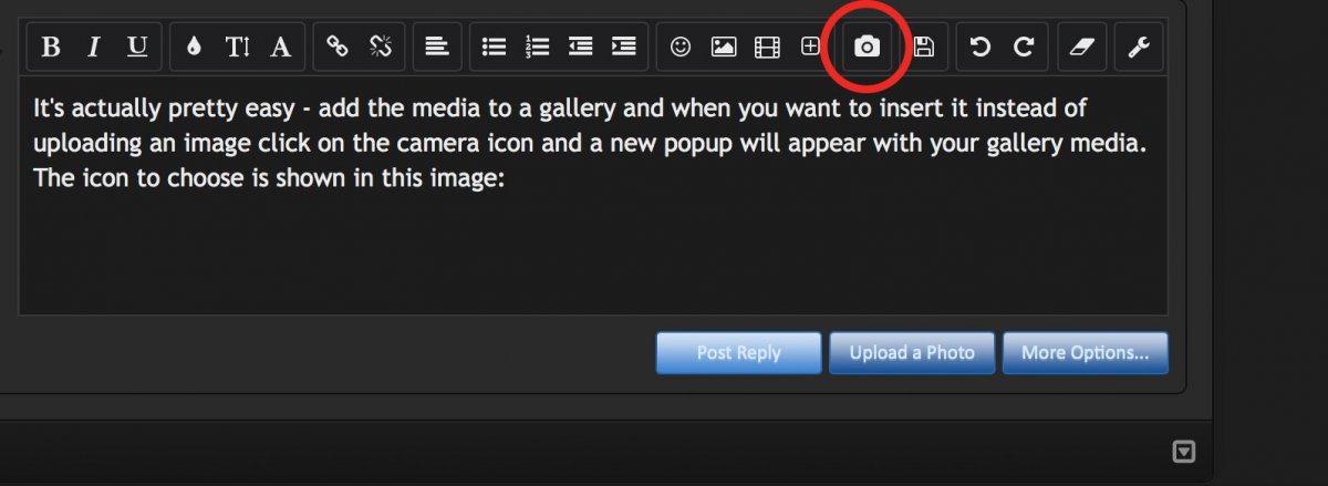 galleryimbed.jpg