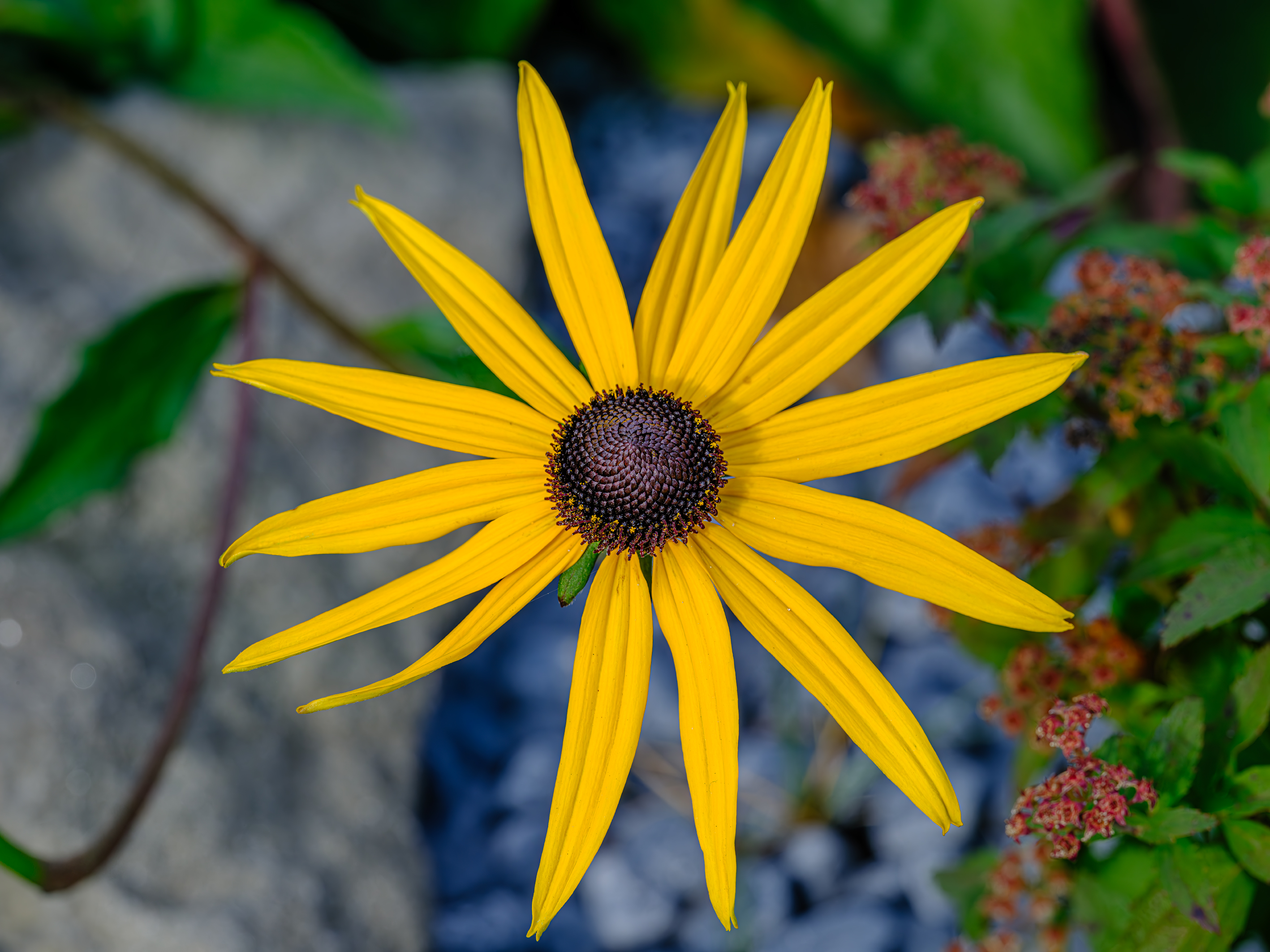GFX100S000_000-Velvia kopie.jpg