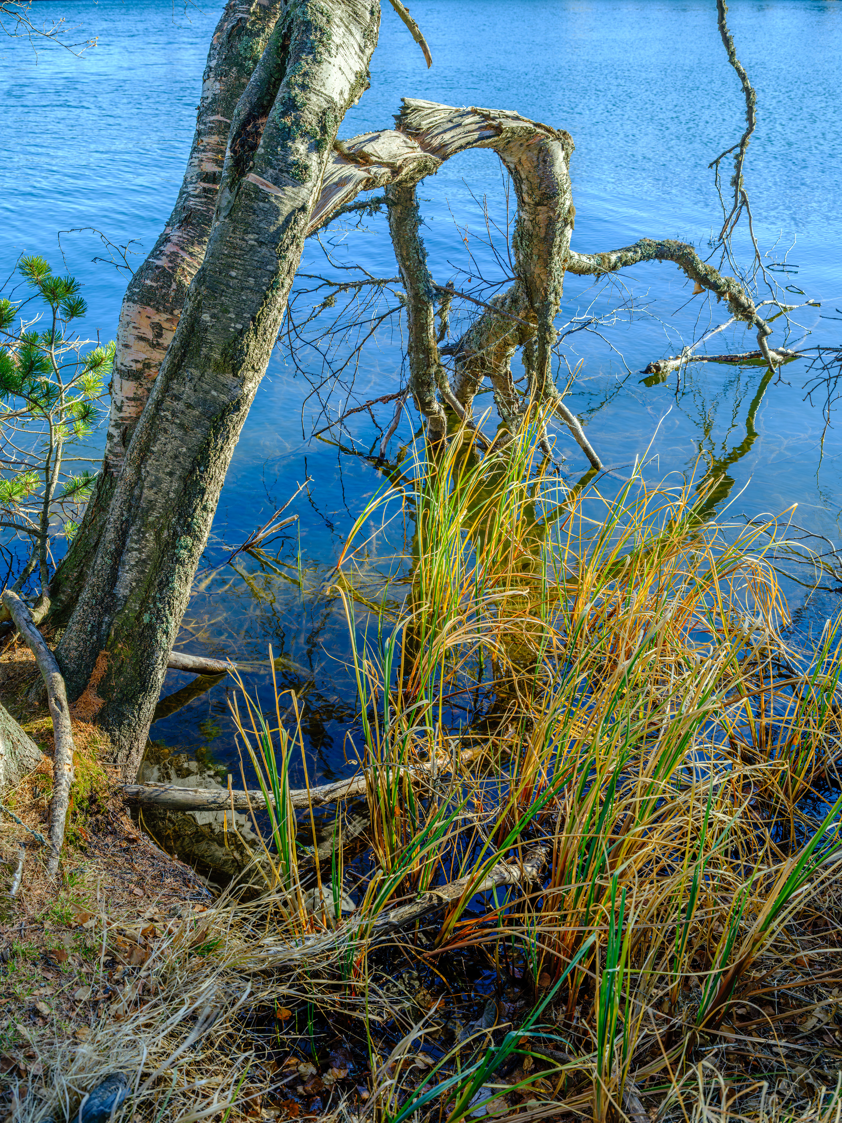 GFX100S000_010-Velvia Photo 24x32.jpg