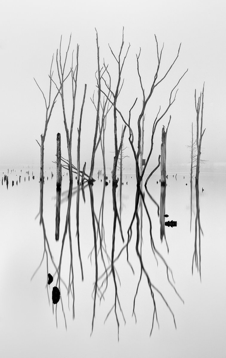 Ghost on the Water.jpg