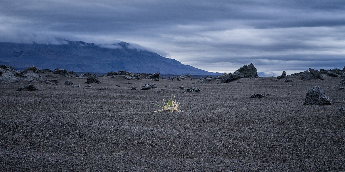 grass-tuft-badlandsdust-noise.jpg