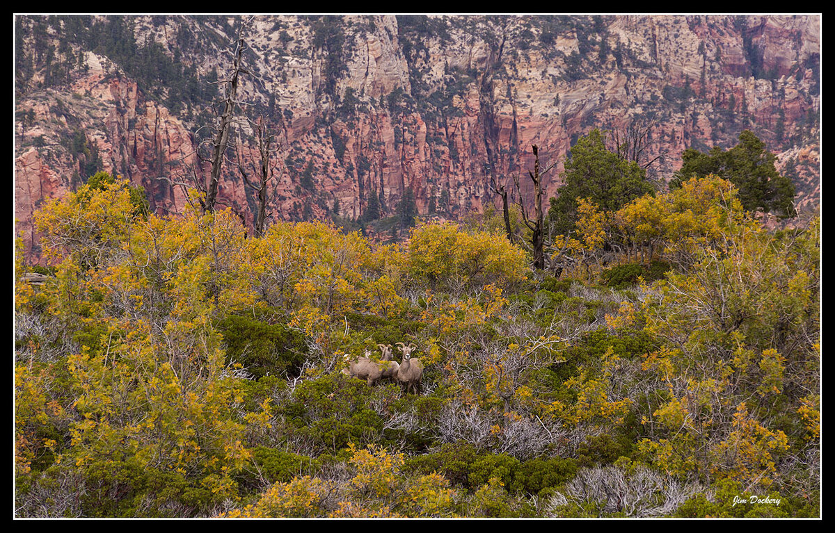 Great-White-Throne_0403.jpg
