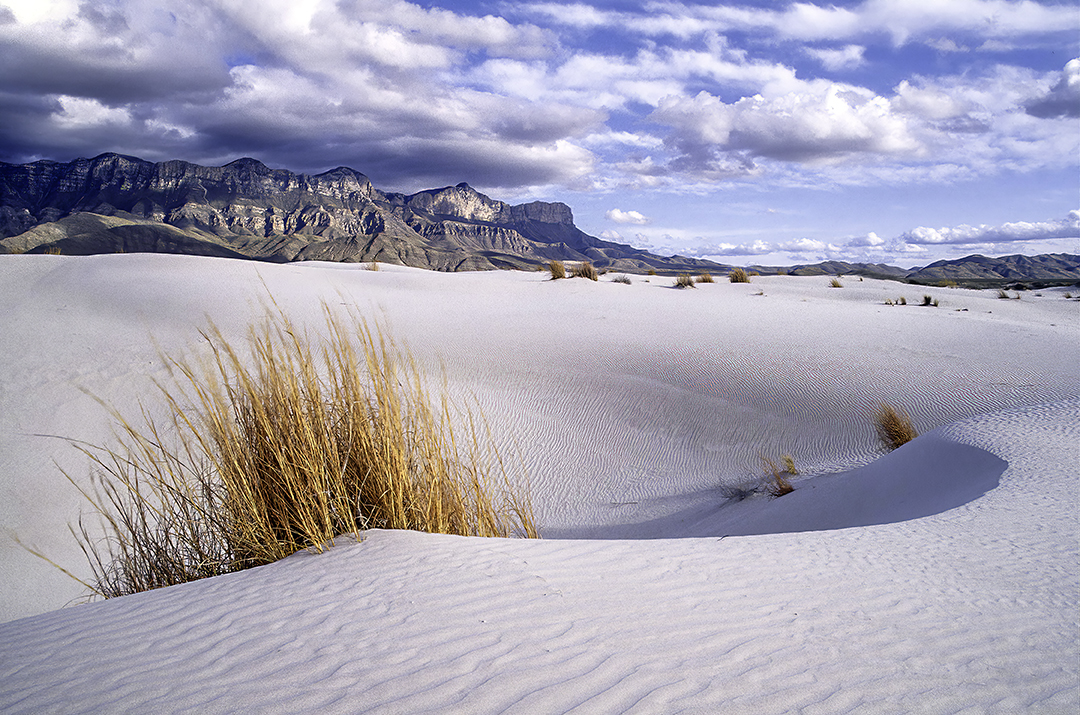 guadalupe dunes-2.jpg