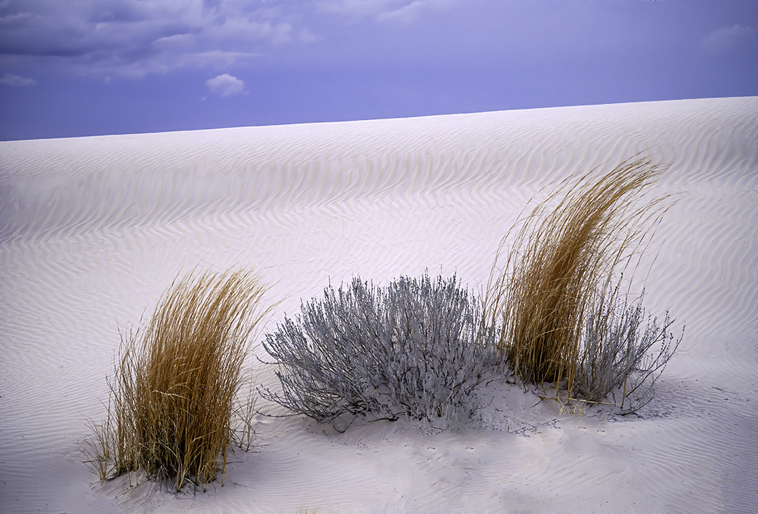 Gypsum Dunes.jpg