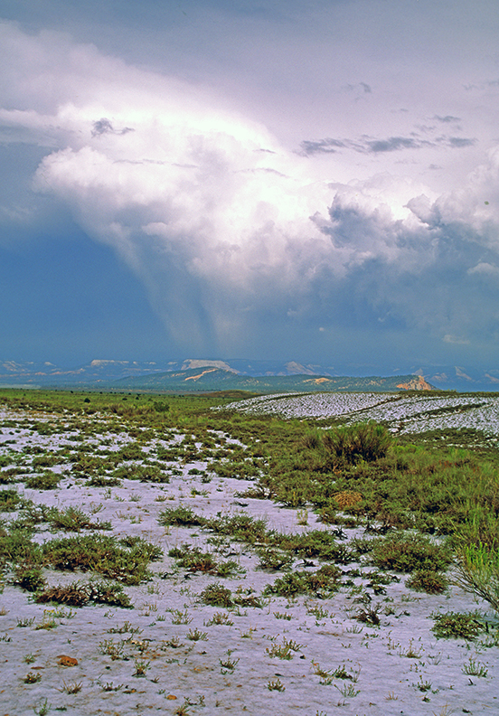 hail streak.jpg