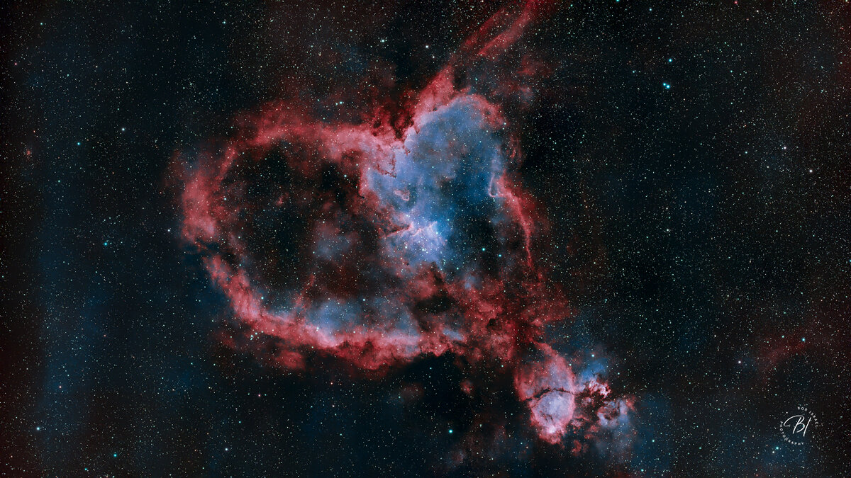 Heart 102026_Long Edge 1300 BIP_1300x731_U_100.jpg