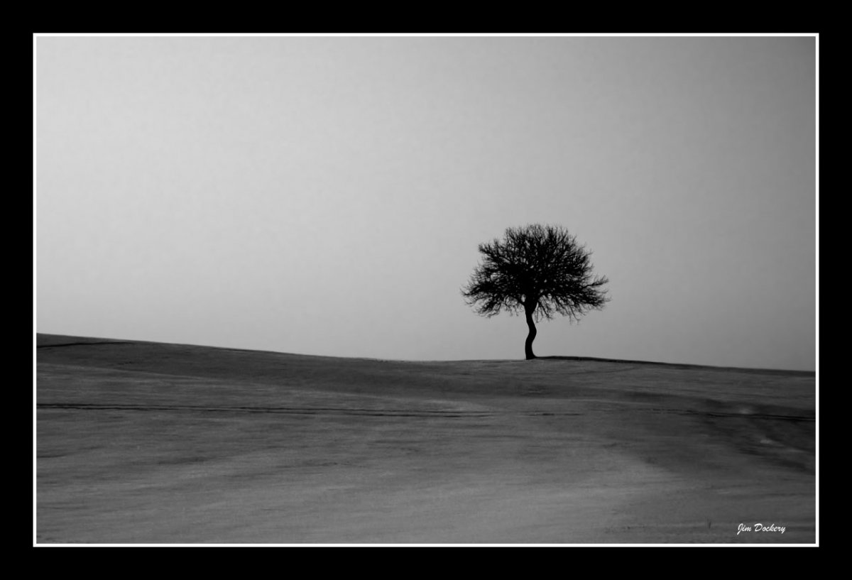 Heiersreuth-tree-bw.jpg