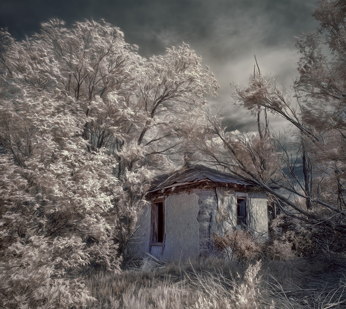Hidden_1200.jpg