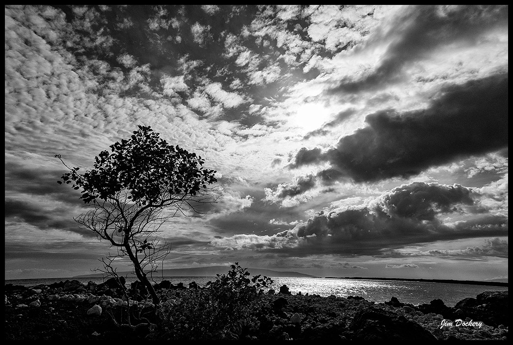 HOAPILI-TRAIL-(369).jpg
