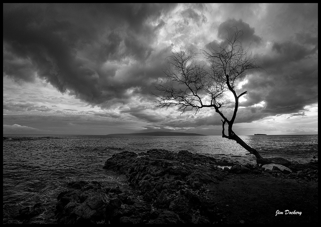 HOAPILI-TRAIL-drive-tree-(49)-Pano.jpg