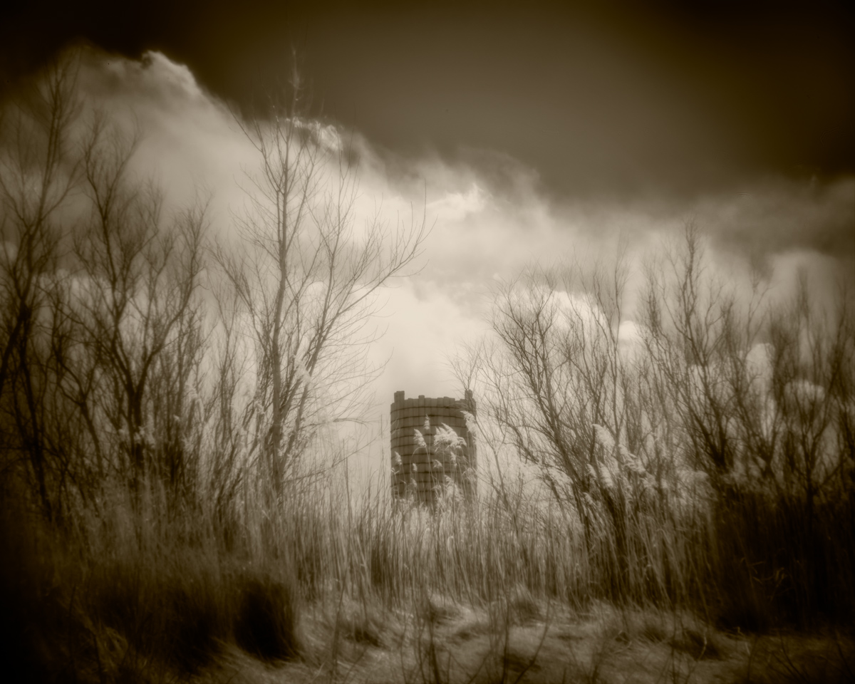 Holga-Challenge---1.1.jpg
