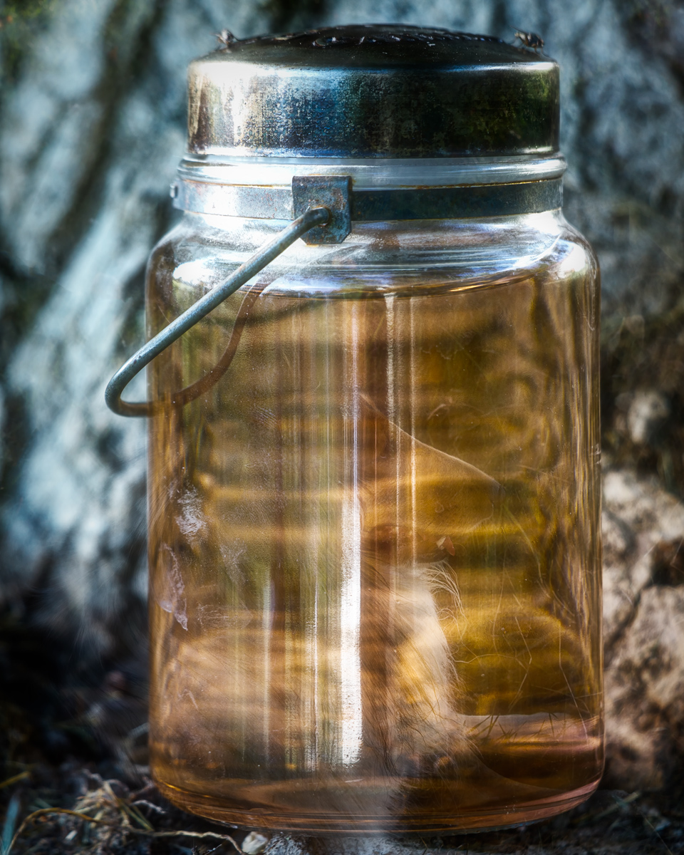 Honey-in-a-Jar.jpg