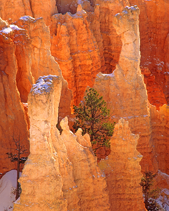 hoodoos in bryce expand.jpg