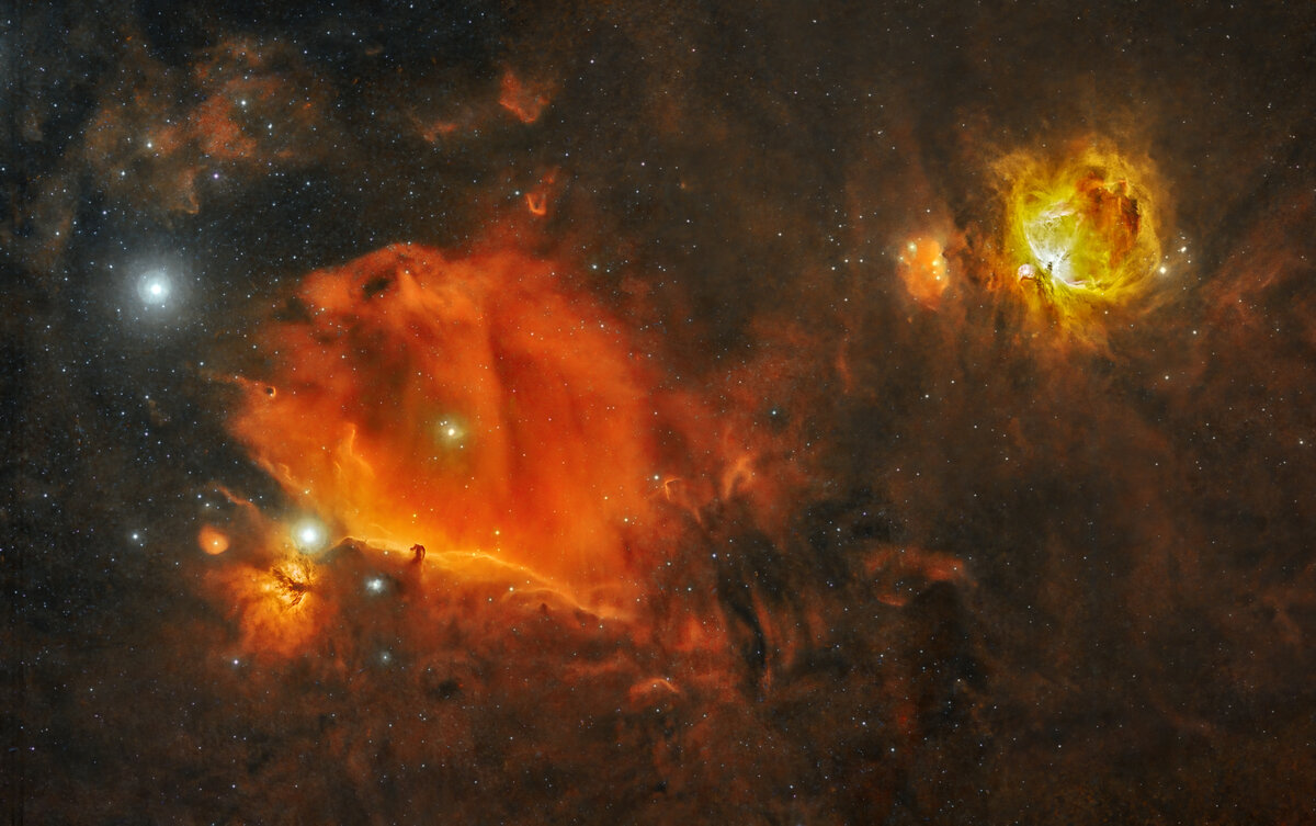 Horsehead and Orion Nebula Mosaic | Focal World